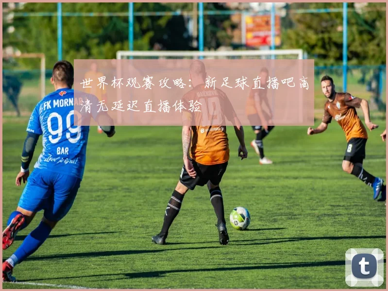 世界杯观赛攻略：新足球直播吧高清无延迟直播体验