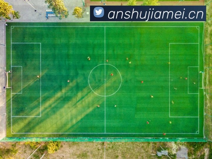 开云在线官网登录服务体系